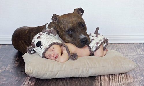 Ένα παιδί με σκύλο